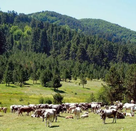 La Casa Di Chiaretta Bed and breakfast 4*