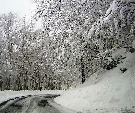 Frühstückspension La Casa Di Chiaretta 4*