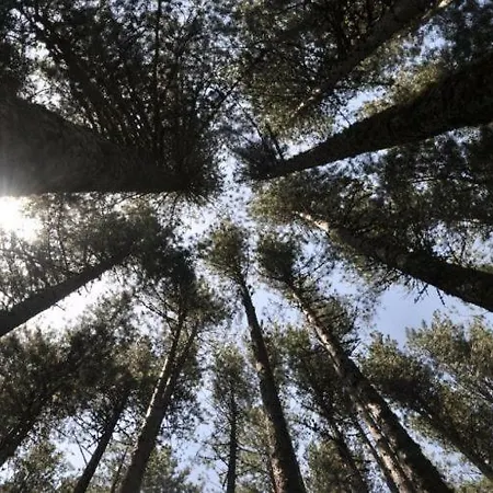 La Casa Di Chiaretta 4* Falerna