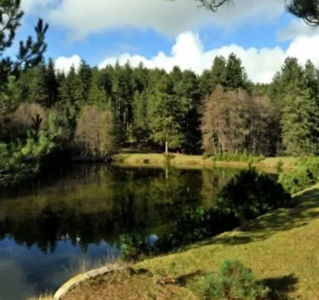 La Casa Di Chiaretta Falerna