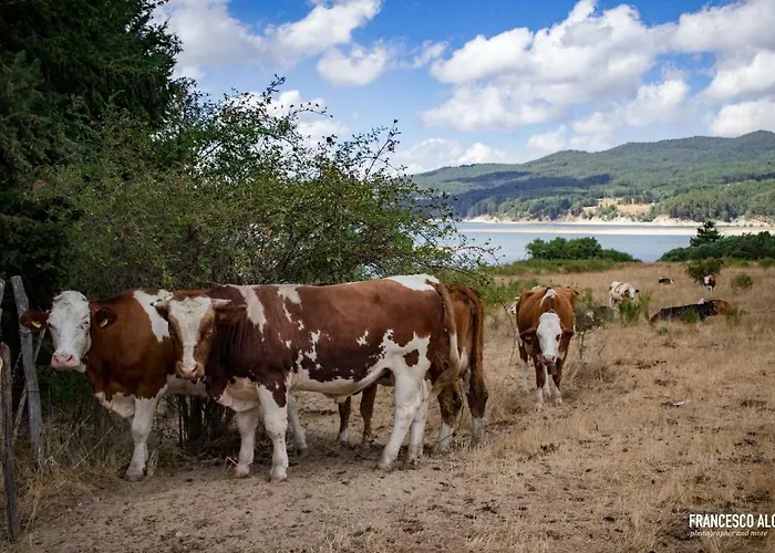 La Casa Di Chiaretta