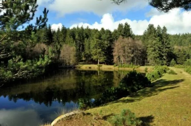 La Casa Di Chiaretta Falerna