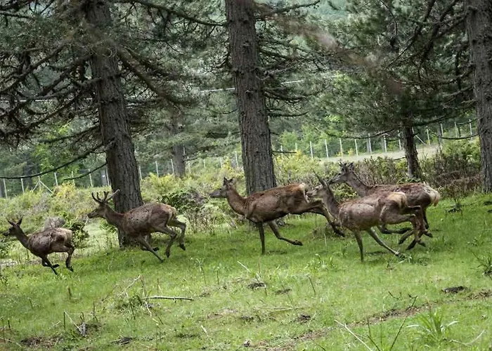 La Casa Di Chiaretta פאלרנה